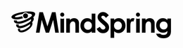 MINDSPRING trademark