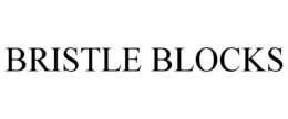 BRISTLE BLOCKS trademark
