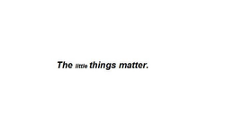 THE LITTLE THINGS MATTER. trademark