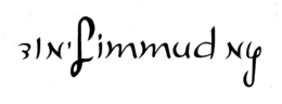 LIMMUD NY trademark