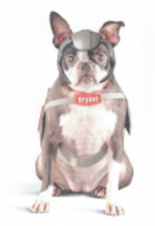 BRYANT trademark