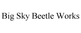 BIG SKY BEETLE WORKS trademark