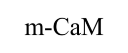 M-CAM trademark