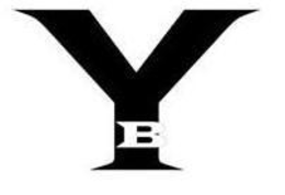 YB trademark