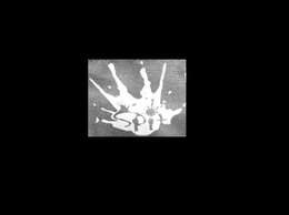 SPIT trademark