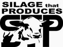 STP SILAGE THAT PRODUCES trademark