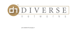 DN DIVERSE N E T W O R K S trademark