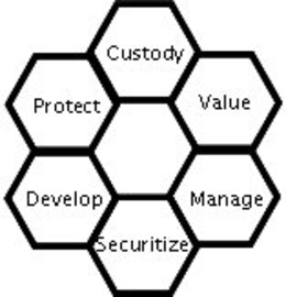 CUSTODY VALUE MANAGE SECURITIZE DEVELOP PROTECT trademark