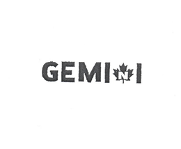GEMINI trademark