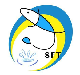 SFT trademark