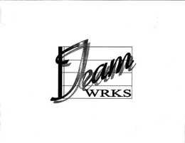 TEAM WRKS trademark