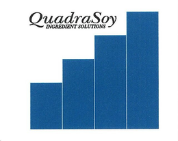 QUADRASOY INGREDIENT SOLUTIONS trademark