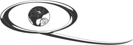 Q trademark