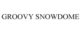 GROOVY SNOWDOME trademark