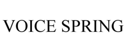 VOICE SPRING trademark