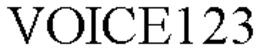 VOICE123 trademark