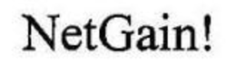 NETGAIN! trademark