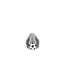 FEDERACION MEXICANA DE FUTBOL ASSOC. AC trademark