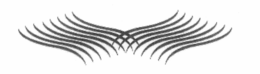 V trademark