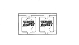 TEAM SPIRIT trademark