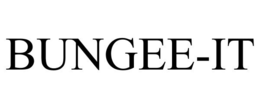 BUNGEE-IT trademark