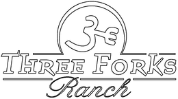 3 THREE FORKS RANCH trademark