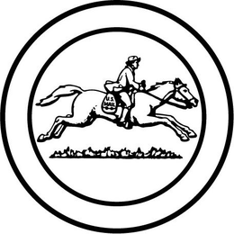 U.S. MAIL trademark