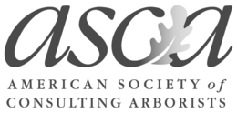 ASCA AMERICAN SOCIETY OF CONSULTING ARBORISTS trademark