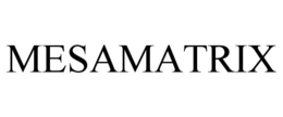 MESAMATRIX trademark