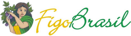 FIGO BRASIL trademark