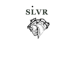 SLVR trademark