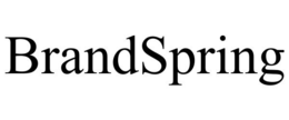 BRANDSPRING trademark