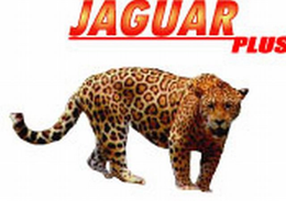 JAGUAR PLUS trademark
