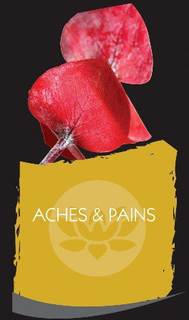 ACHES & PAINS trademark