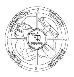 HEALTHY CHEWING SYSTEM HEALTH SYSTEM HEALTHY FOUNDATION HEALTHY TEETH trademark