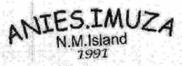 ANIES.IMUZA N.M.ISLAND 1991 trademark