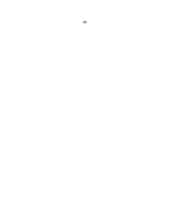 IW trademark