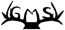 GMS trademark