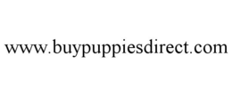 WWW.BUYPUPPIESDIRECT.COM trademark