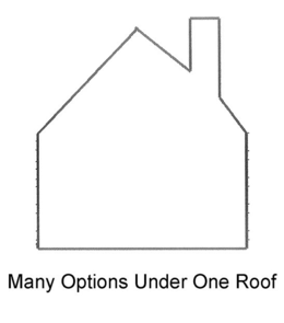 MANY OPTIONS UNDER ONE ROOF trademark