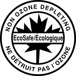 ECOSAFE/ÉCOLOGIQUE NON OZONE DEPLETING NE DÉTRUIT PAS I OZONE trademark