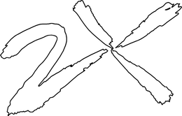 2X trademark