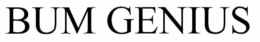 BUM GENIUS trademark