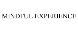 MINDFUL EXPERIENCE trademark