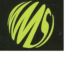 MMSI trademark