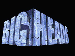 BIG HEADS trademark