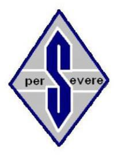 PERSEVERE trademark