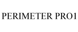 PERIMETER PRO1 trademark