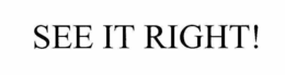 SEE IT RIGHT! trademark