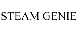 STEAM GENIE trademark